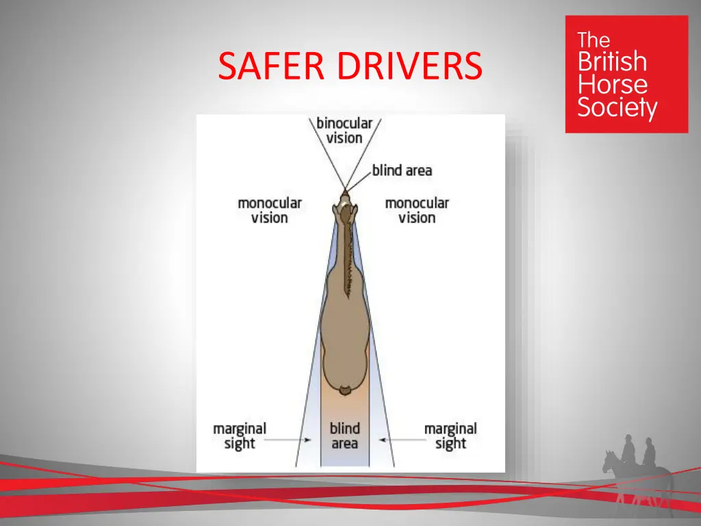 safer drivers 7