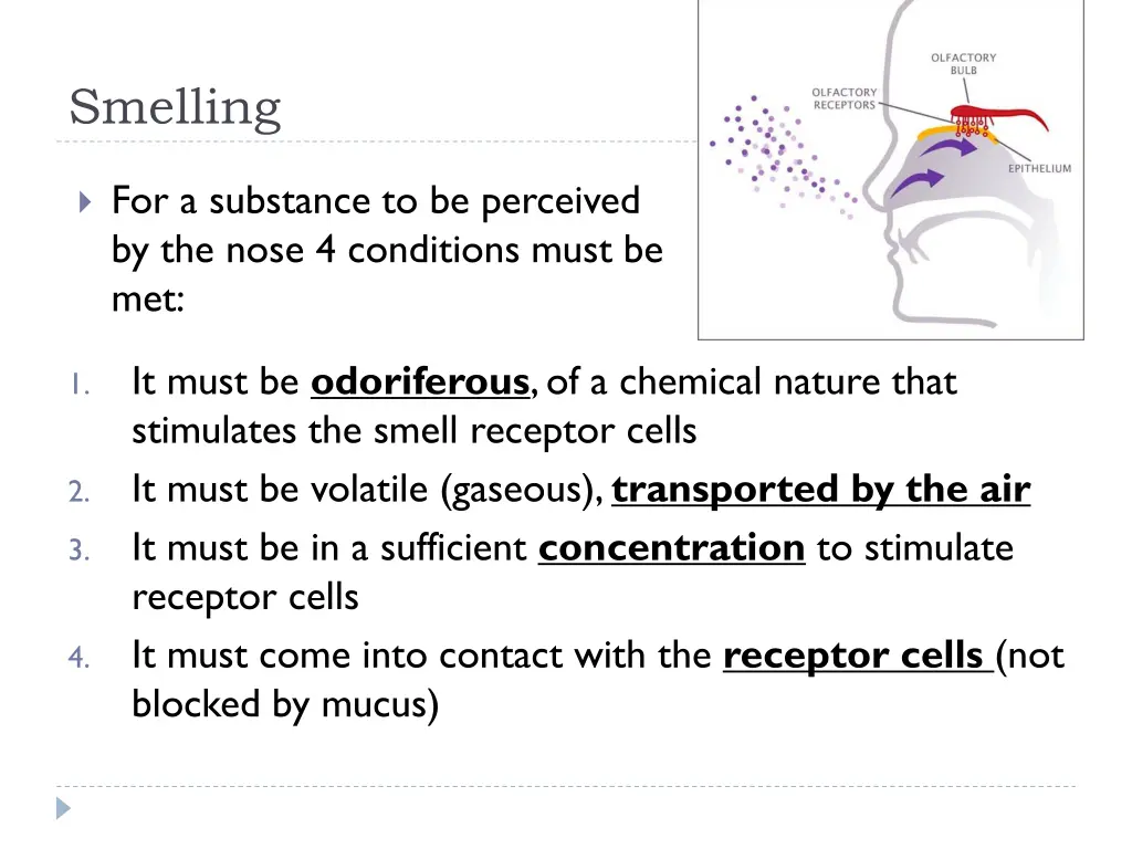 smelling