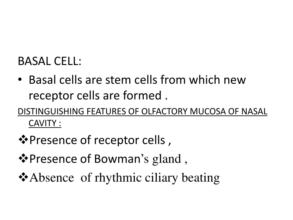 basal cell basal cells are stem cells from which