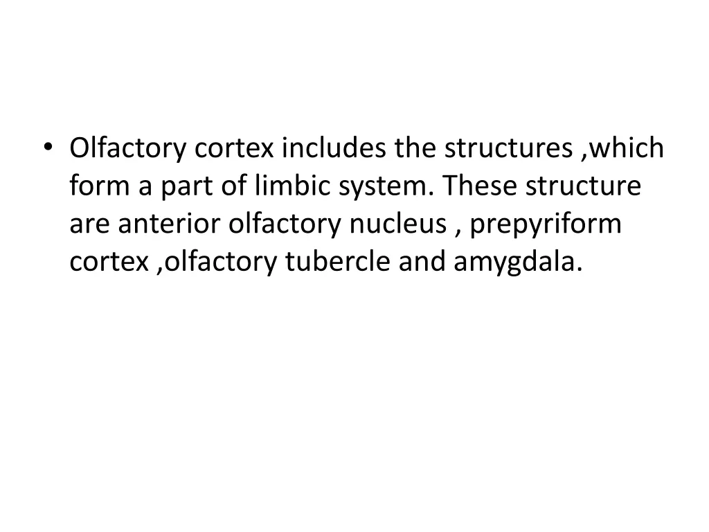 olfactory cortex includes the structures which