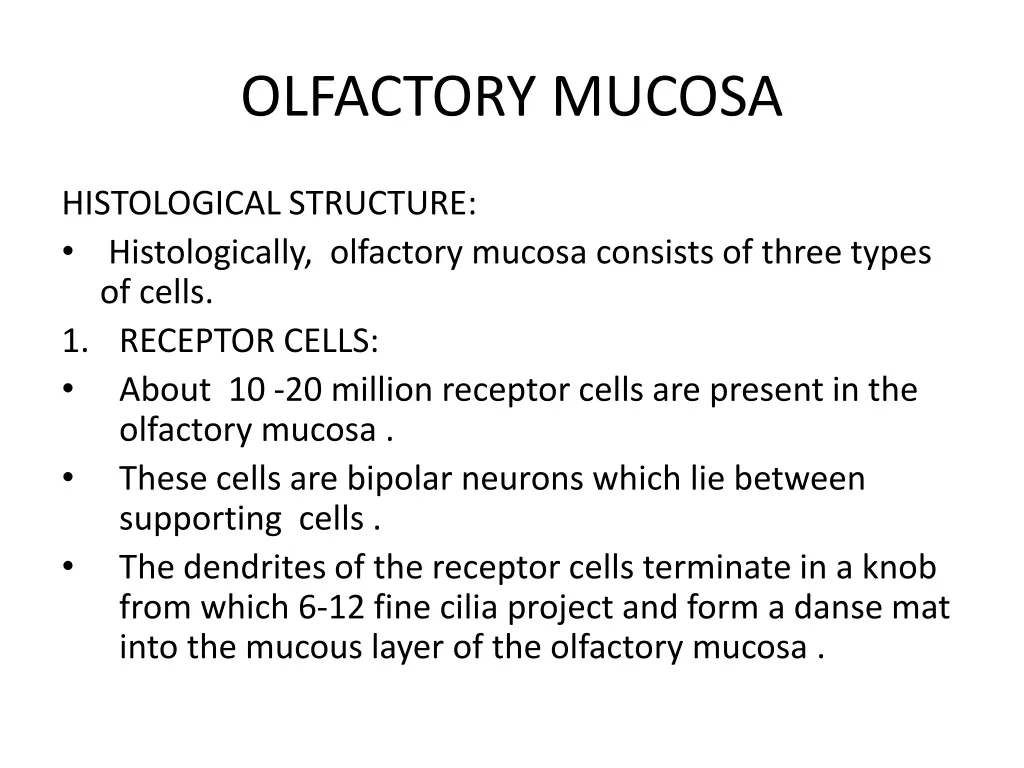 olfactory mucosa