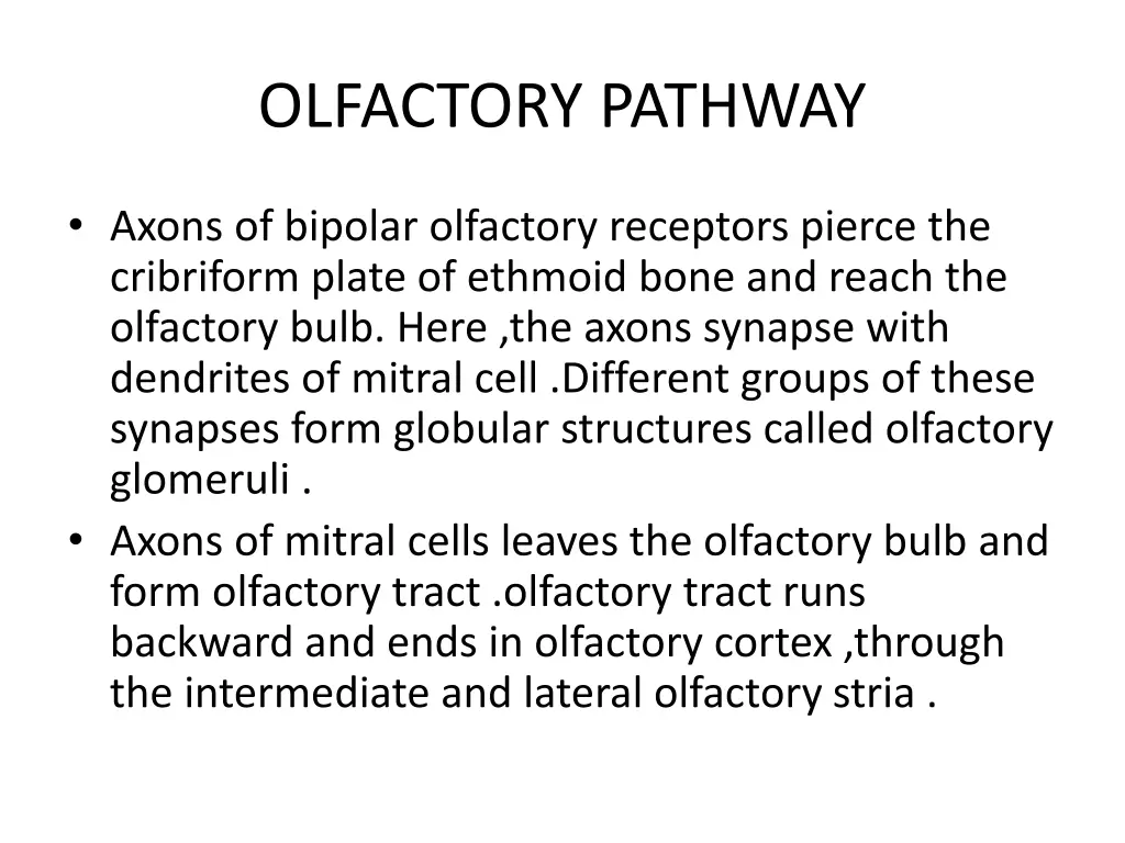 olfactory pathway