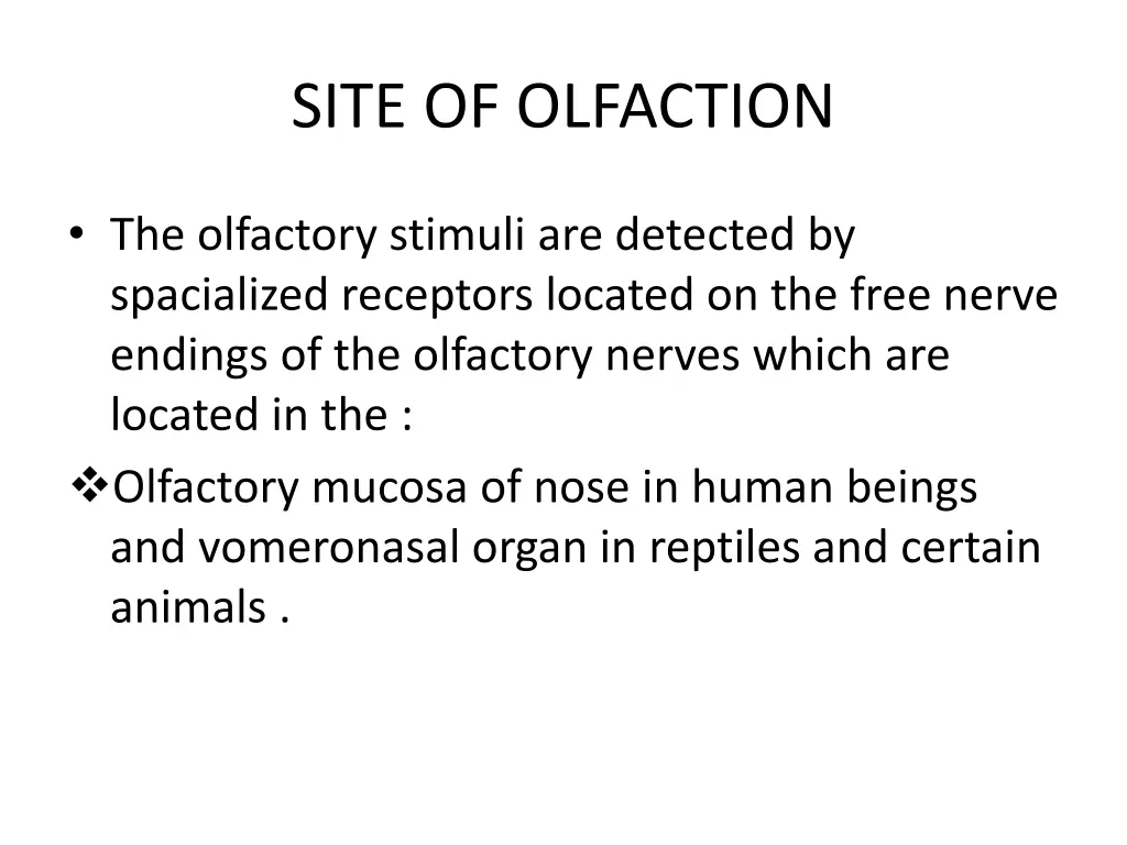 site of olfaction