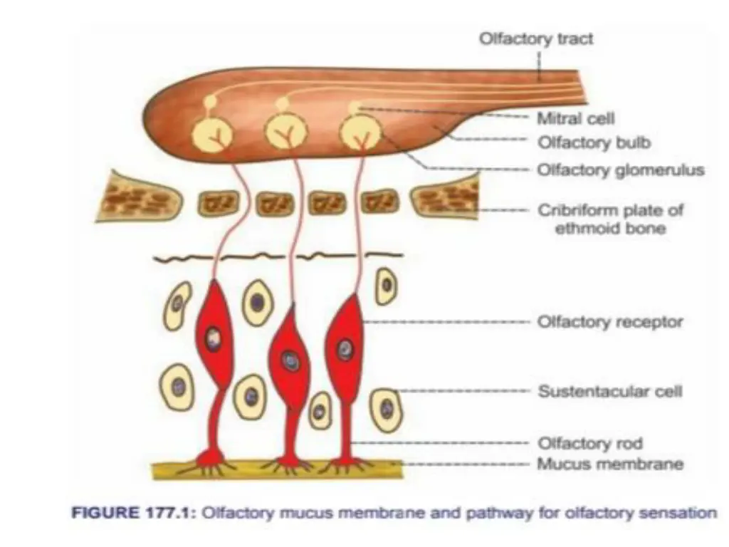 slide13