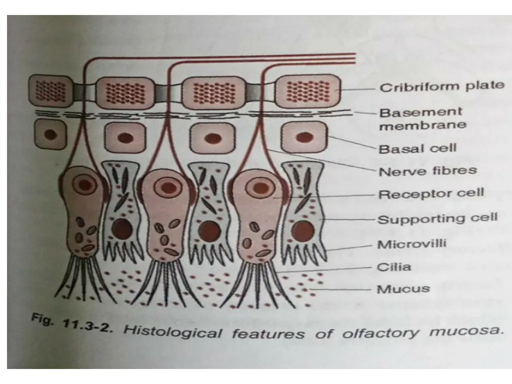 slide8