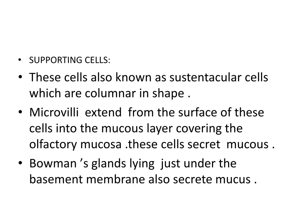 supporting cells these cells also known