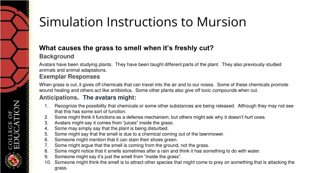 simulation instructions to mursion