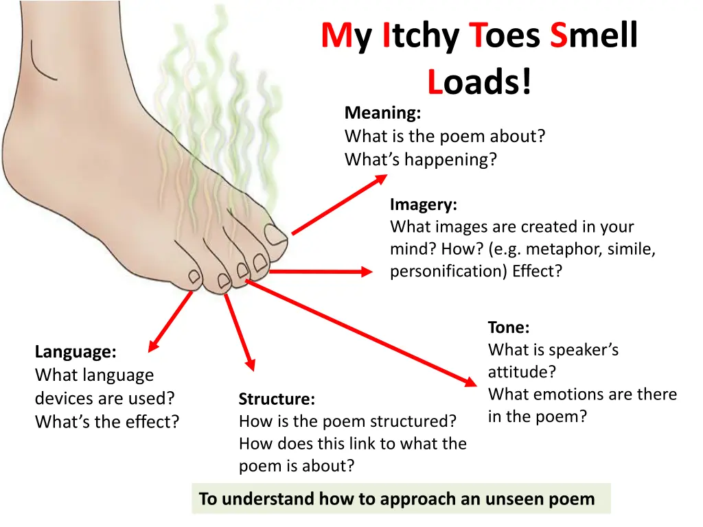 my itchy toes smell loads meaning what