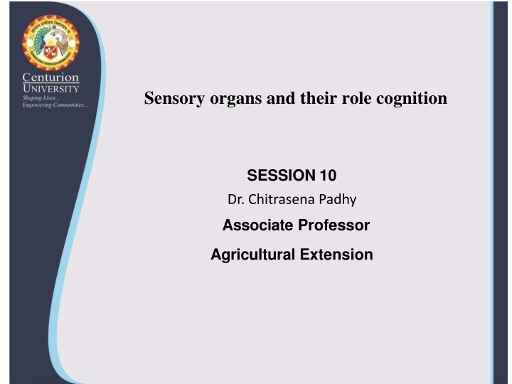 sensory organs and their role cognition