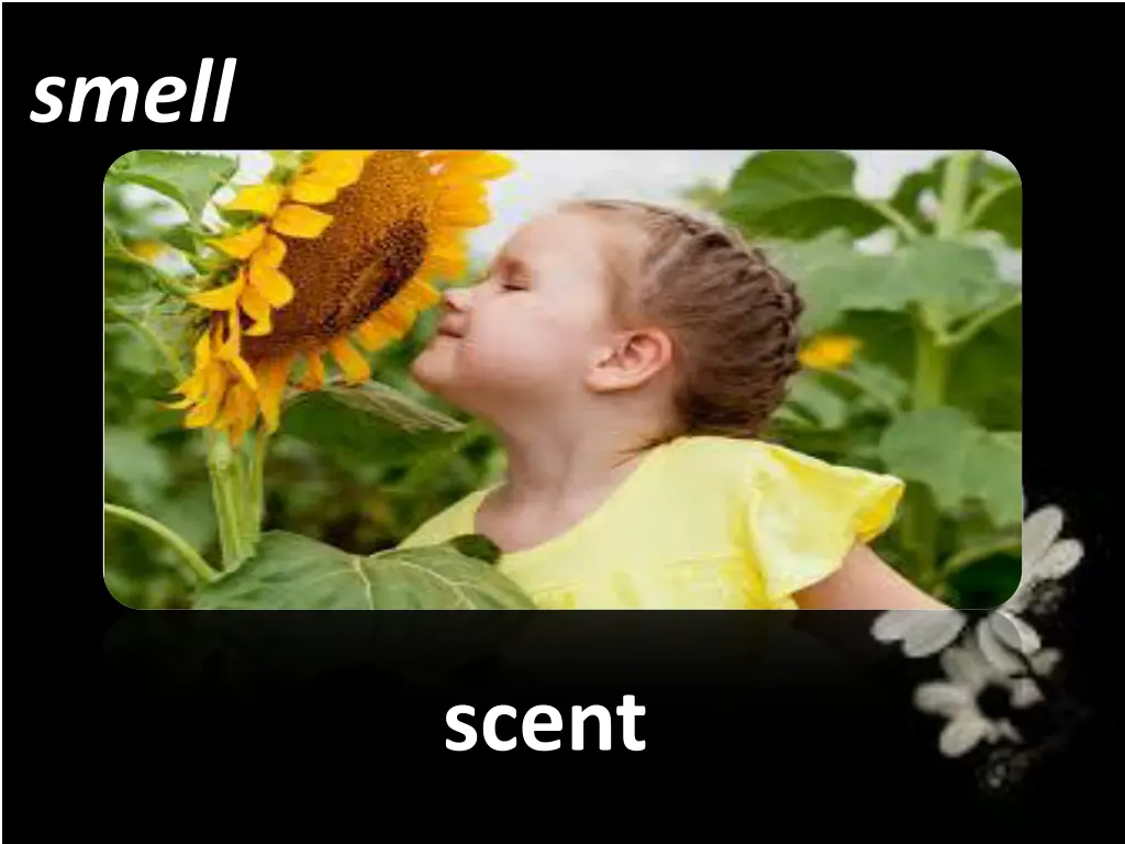 smell