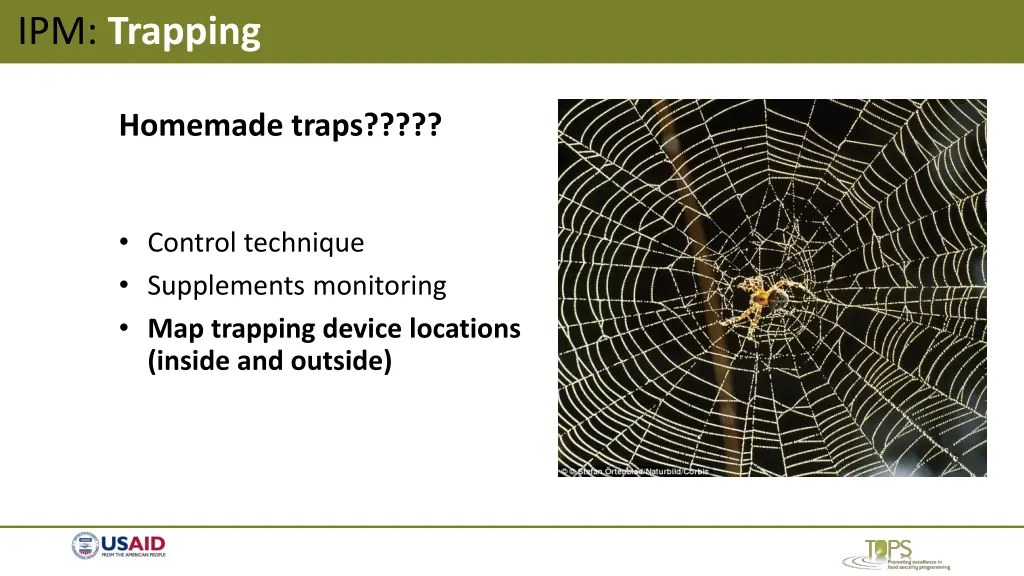 ipm trapping 1