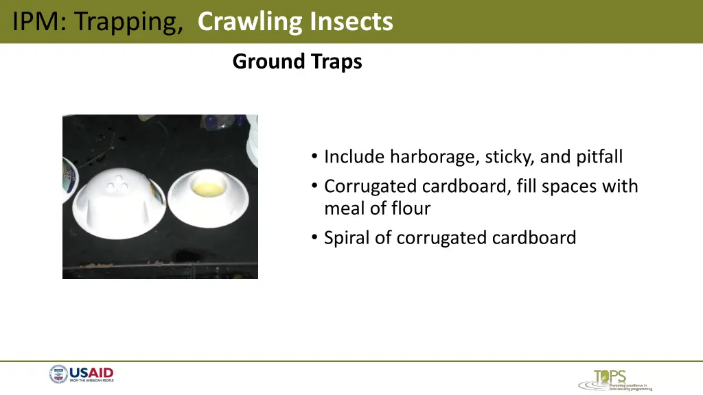 ipm trapping crawling insects