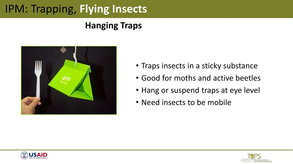 ipm trapping flying insects