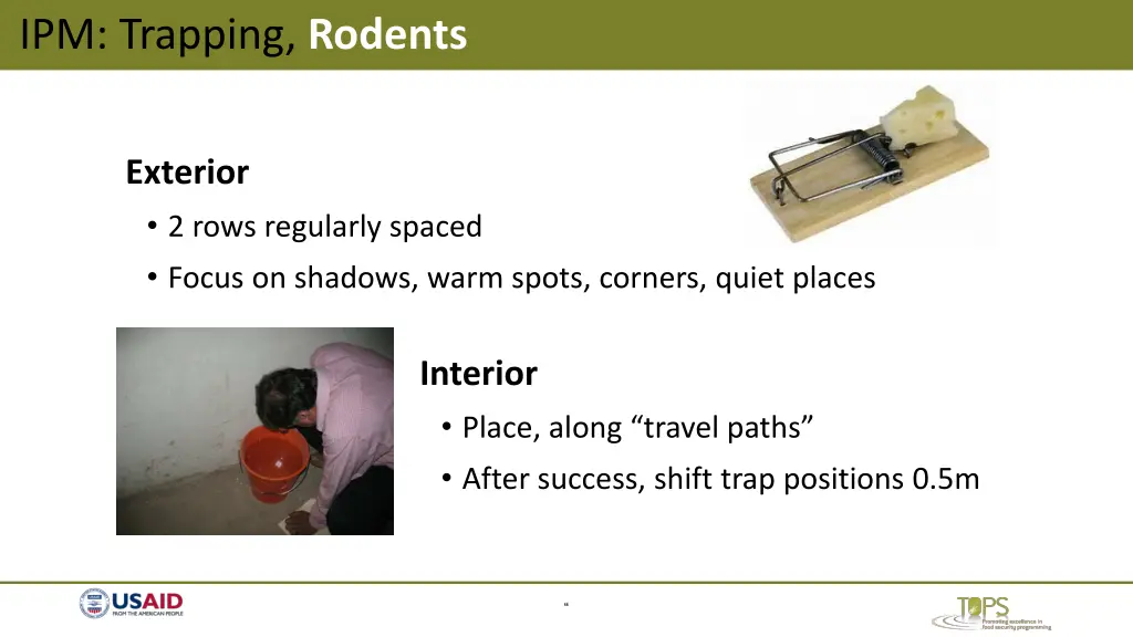 ipm trapping rodents