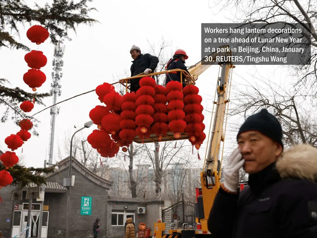 workers hang lantern decorations on a tree ahead