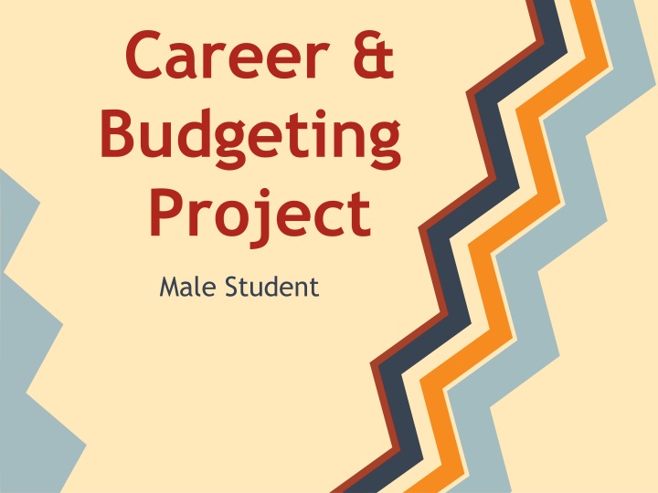 career budgeting project