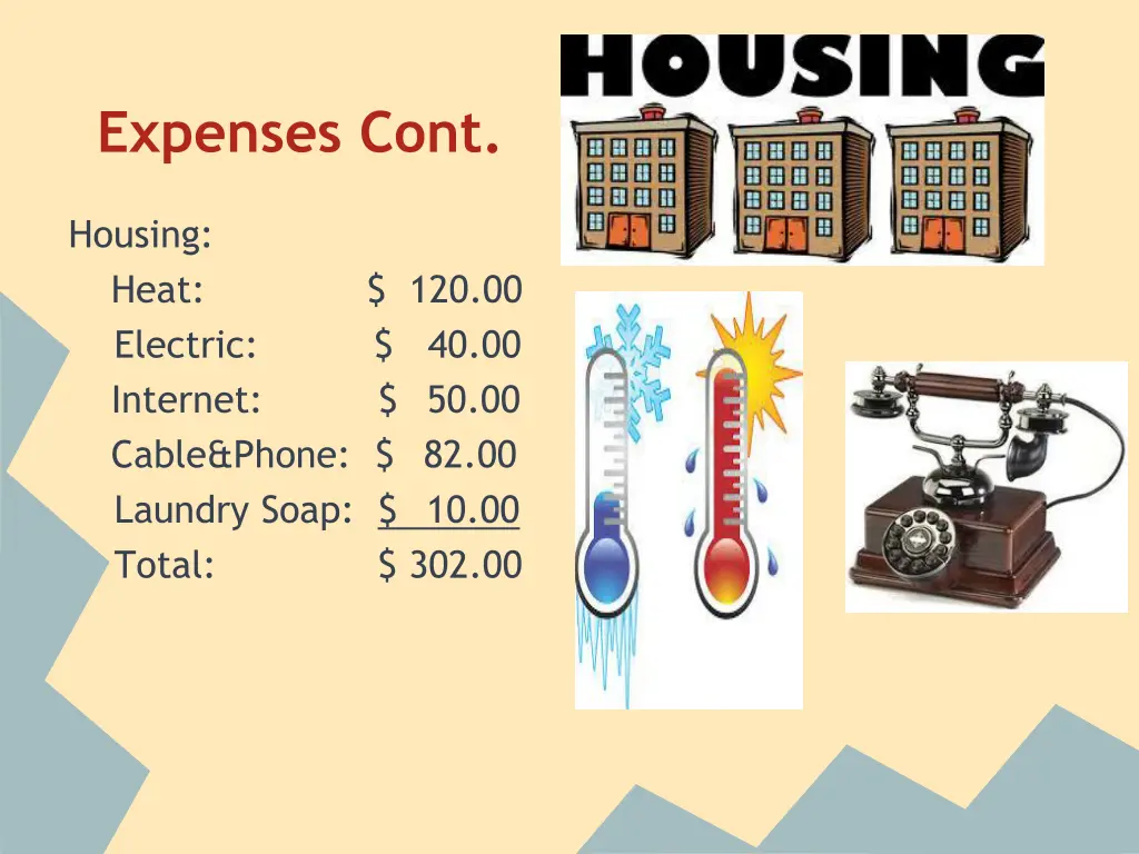 expenses cont