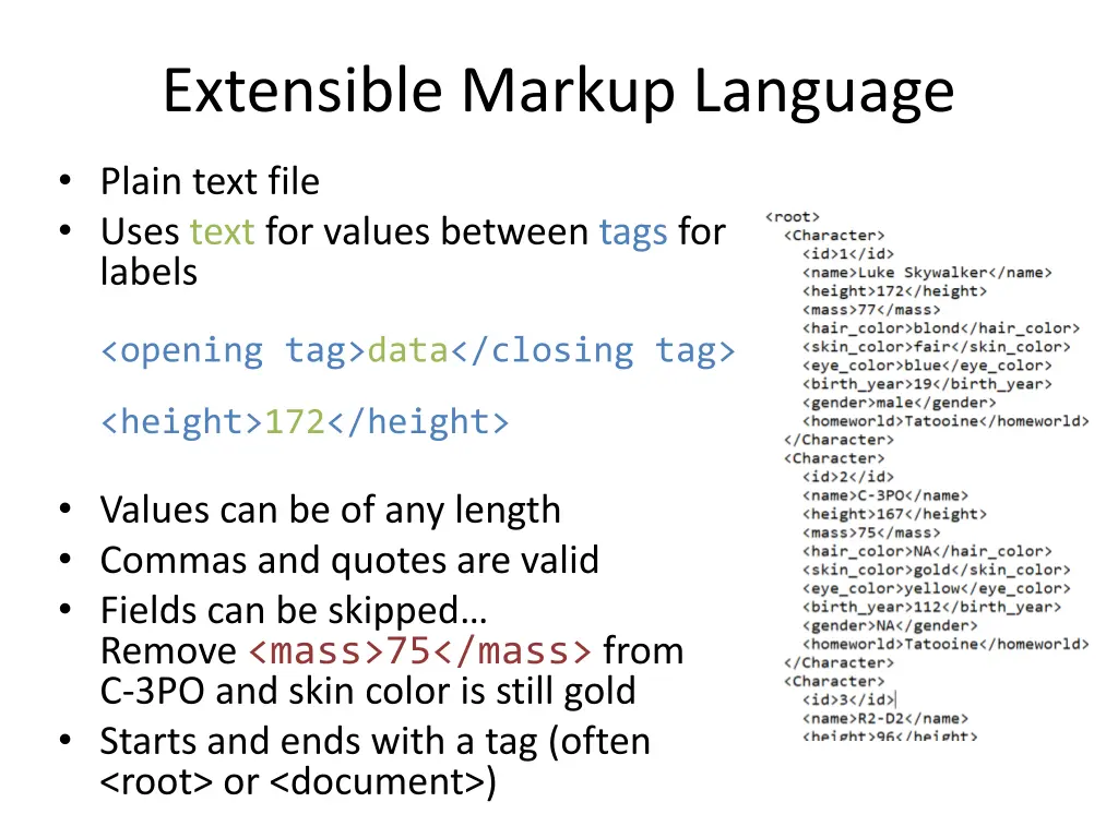 extensible markup language