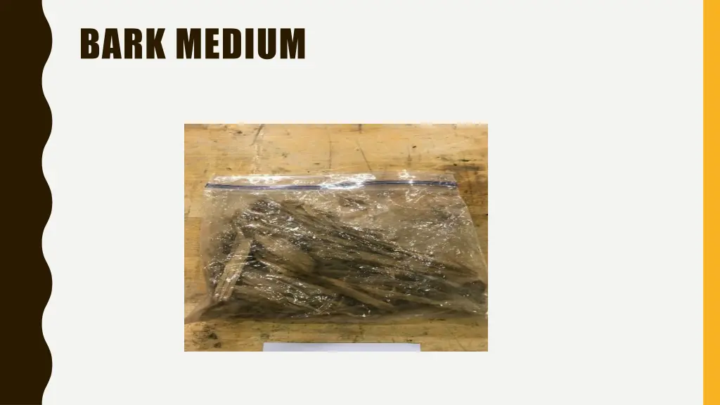 bark medium