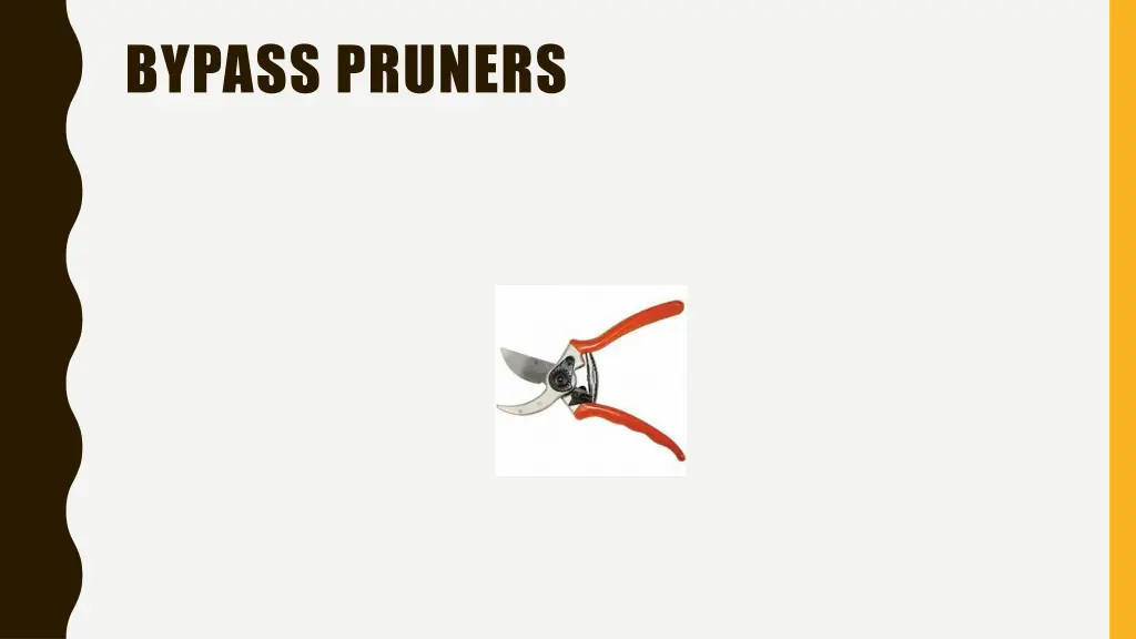 bypass pruners