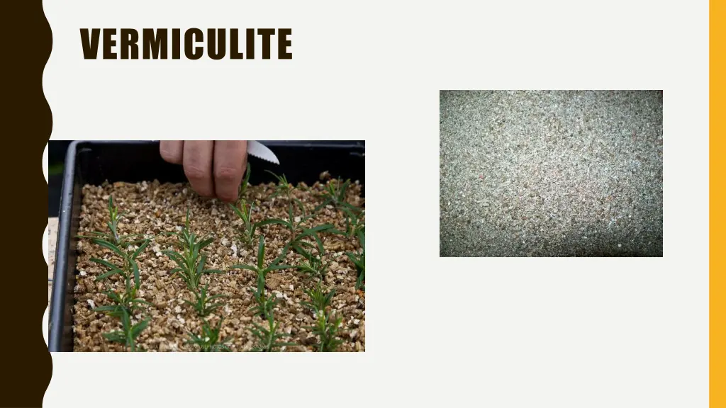 vermiculite