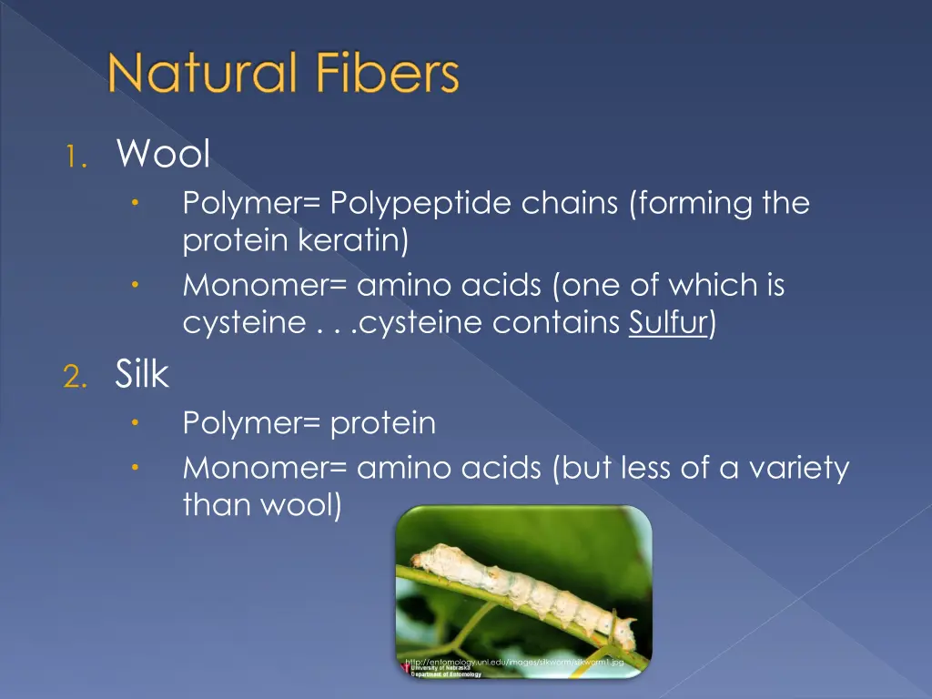 natural fibers 1