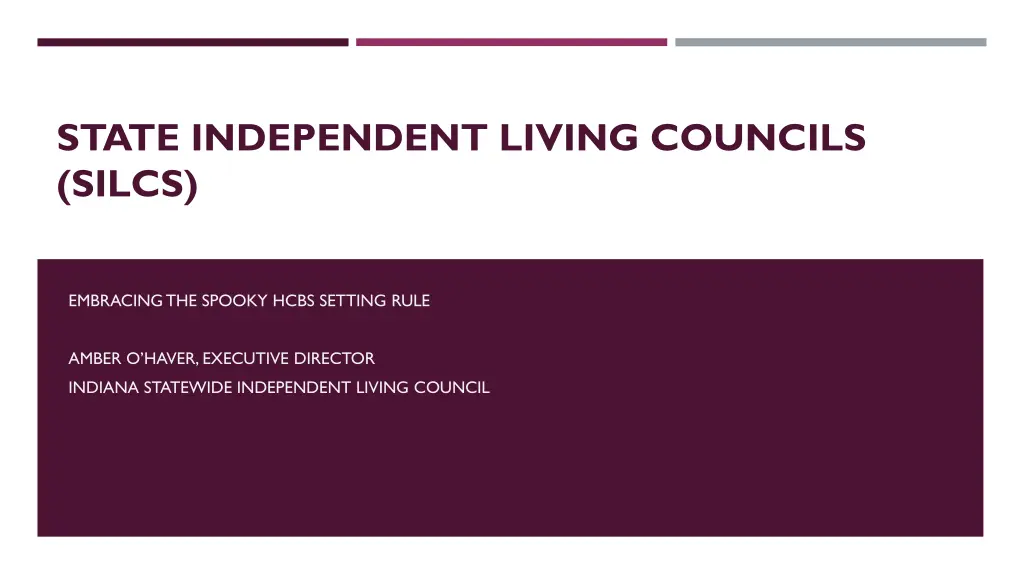 state independent living councils silcs