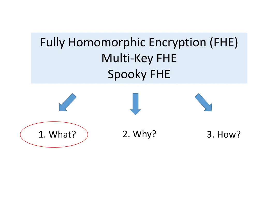 fully homomorphic encryption fhe multi