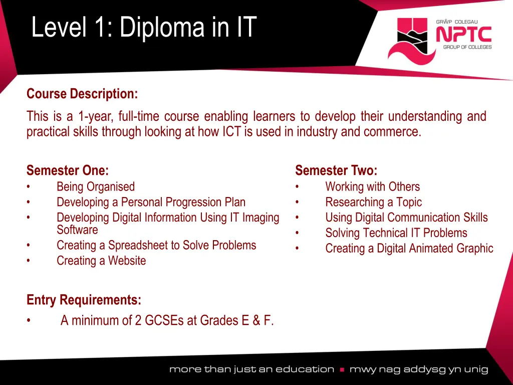 level 1 diploma in it