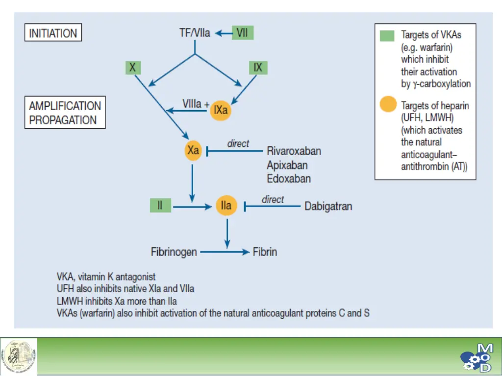 slide25