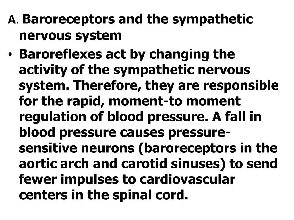 a baroreceptors and the sympathetic nervous