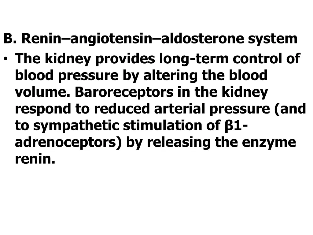 b renin angiotensin aldosterone system the kidney