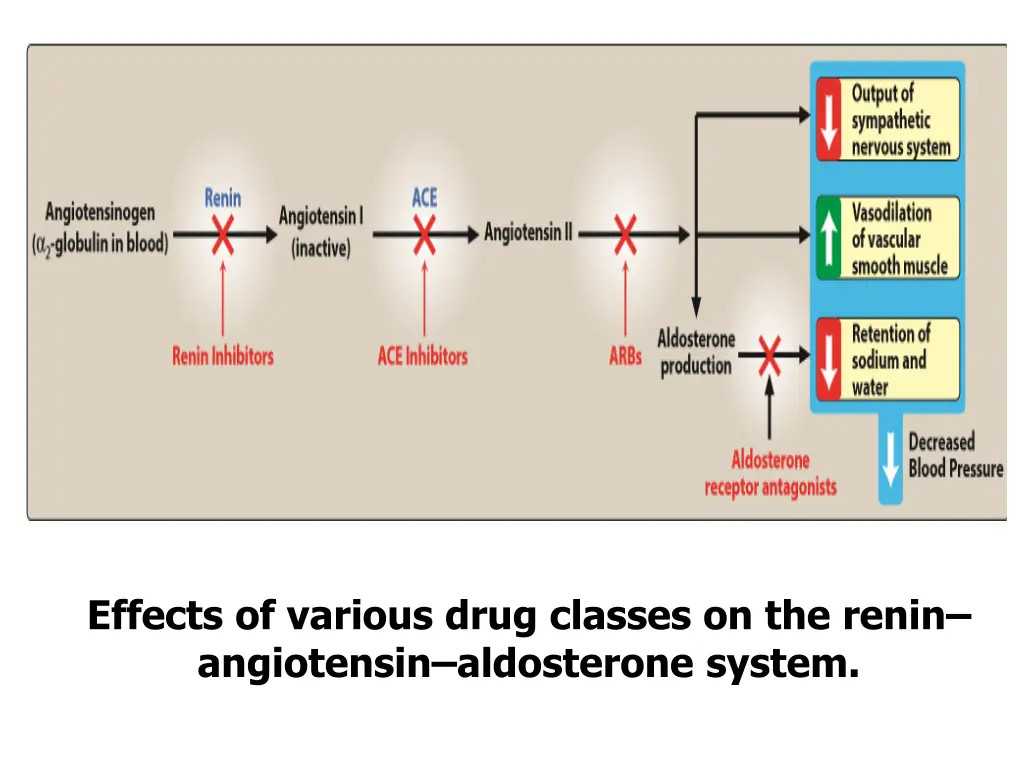 effects of various drug classes on the renin