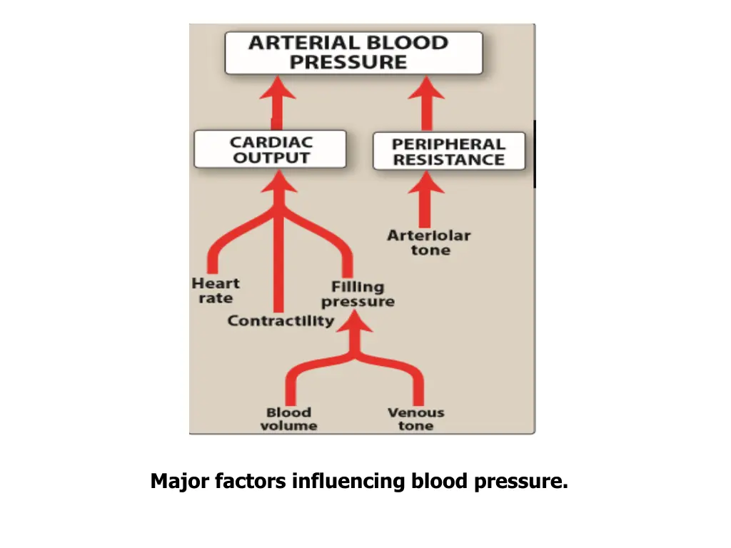 major factors influencing blood pressure