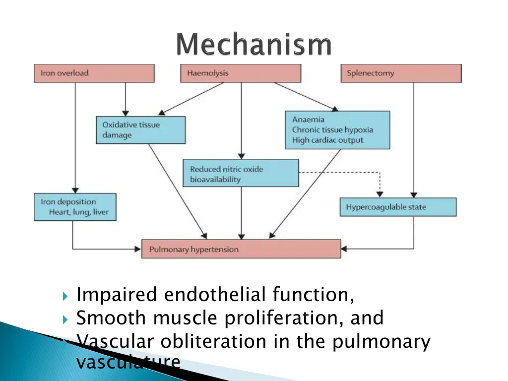 impaired endothelial function smooth muscle