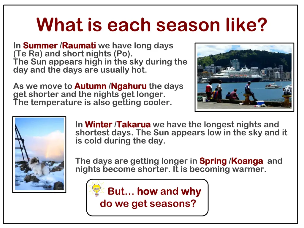 what is each season like