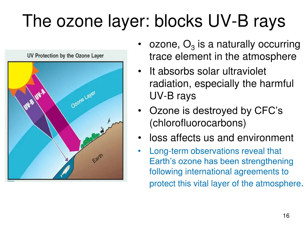 the ozone layer blocks uv b rays