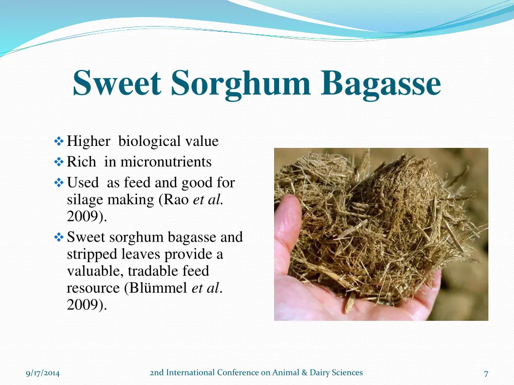 sweet sorghum bagasse