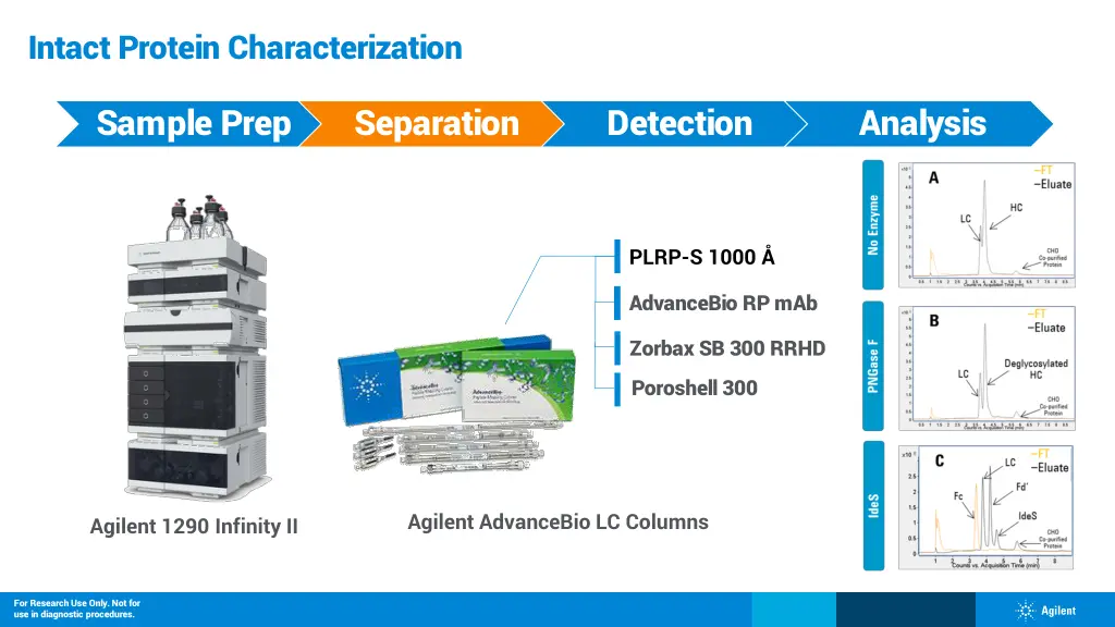 intact protein characterization