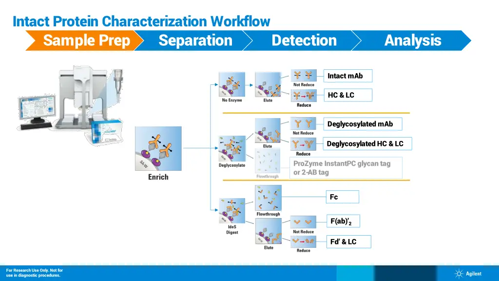 intact protein characterization workflow sample