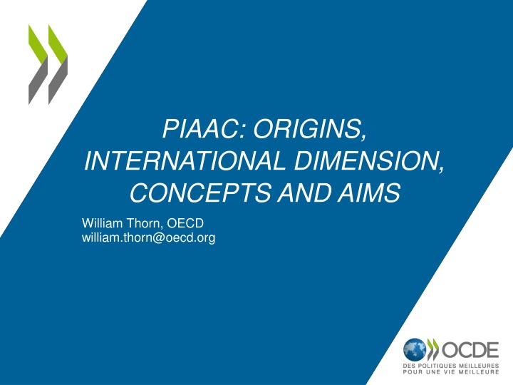 piaac origins international dimension concepts