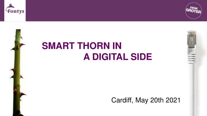 smart thorn in