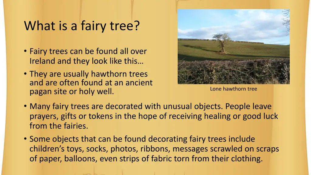 what is a fairy tree