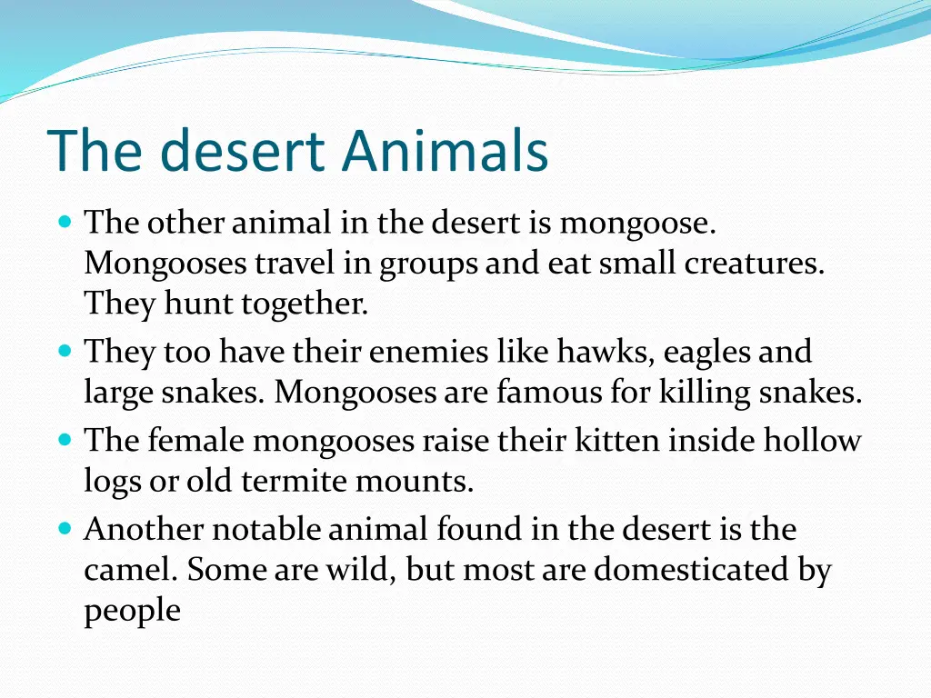 the desert animals