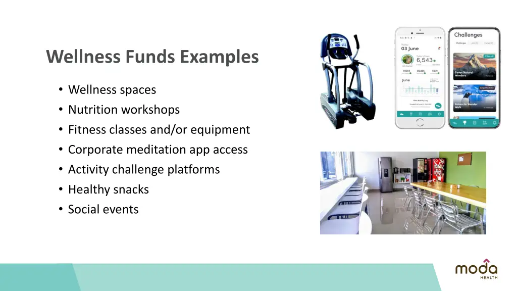 wellness funds examples