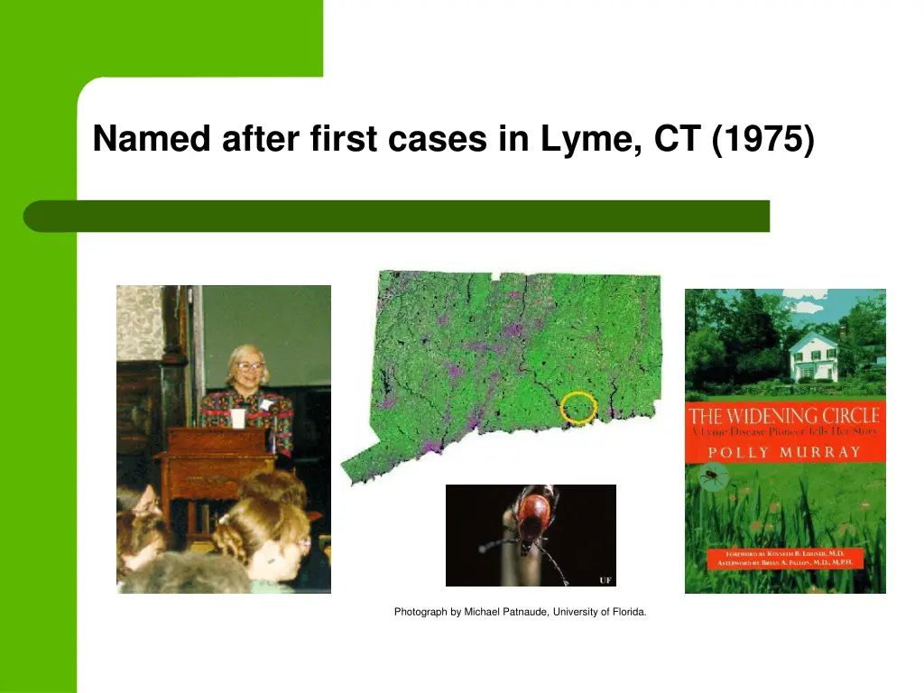 named after first cases in lyme ct 1975