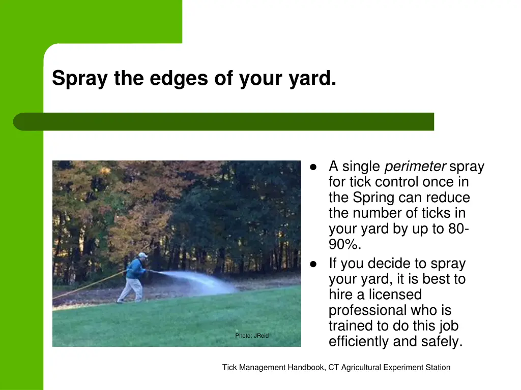 spray the edges of your yard