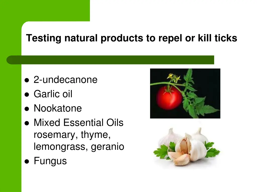 testing natural products to repel or kill ticks