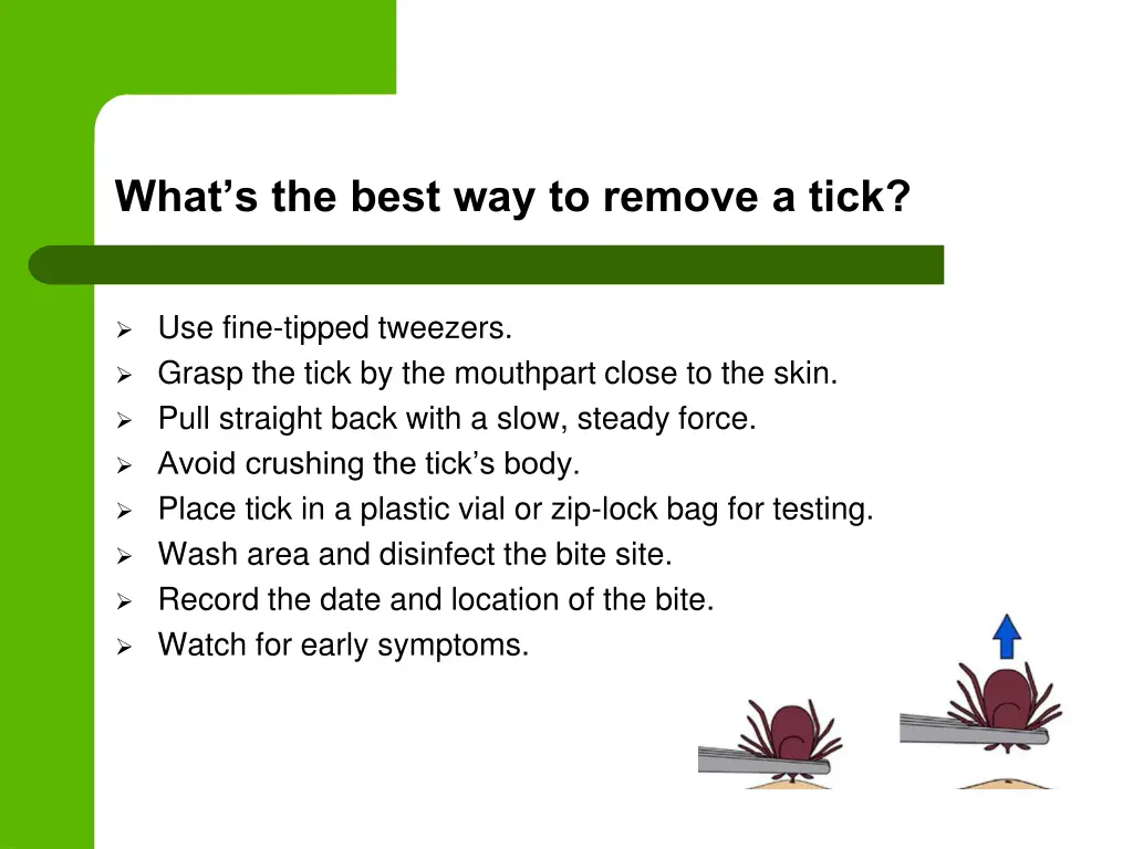 what s the best way to remove a tick