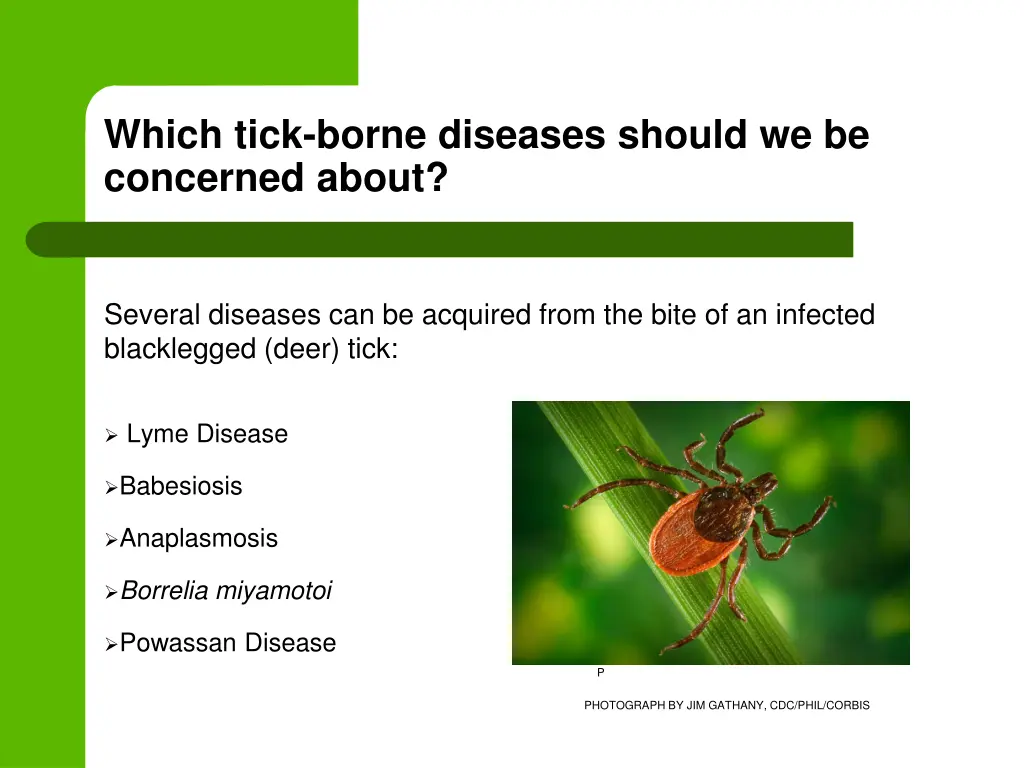 which tick borne diseases should we be concerned